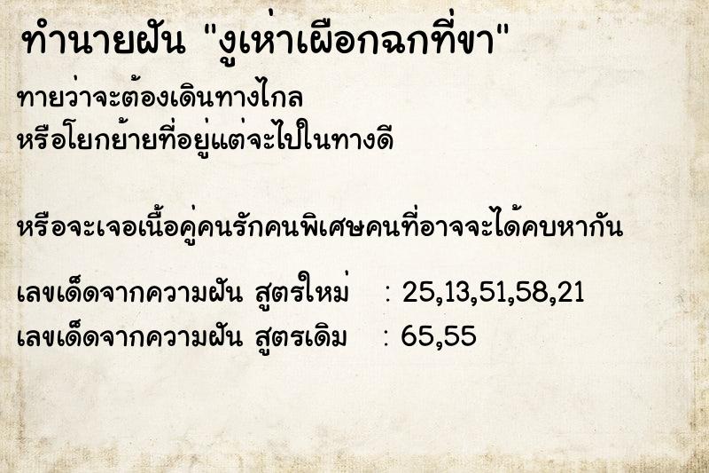 ทำนายฝันงูเห่าเผือกฉกที่ขา ทำนายฝันทำนายฝันงูเห่าเผือกฉกที่ขา