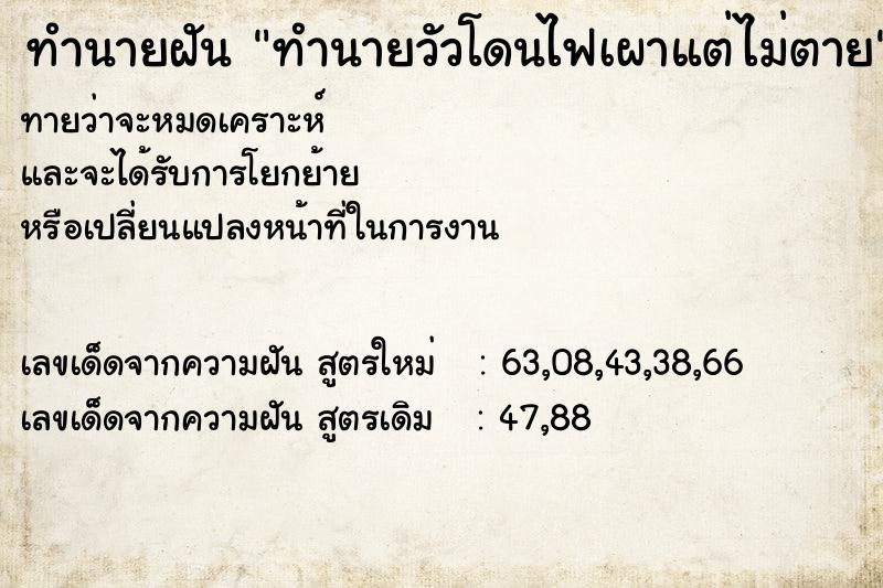 ทำนายฝันทำนายวัวโดนไฟเผาแต่ไม่ตาย ทำนายฝันทำนายฝันทำนายวัวโดนไฟเผาแต่ไม่ตาย