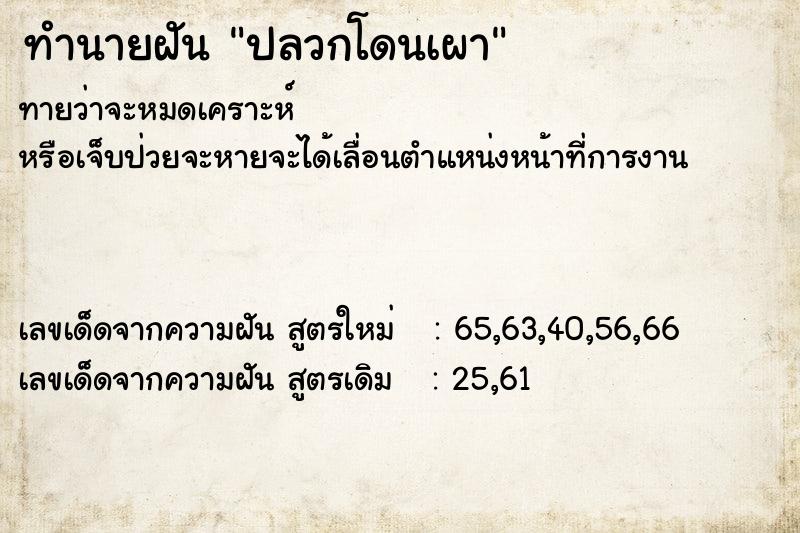 ทำนายฝันทำนายฝันปลวกโดนเผา