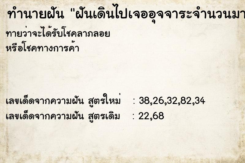 ทำนายฝันทำนายฝันฝันเดินไปเจออุจจาระจำนวนมาก
