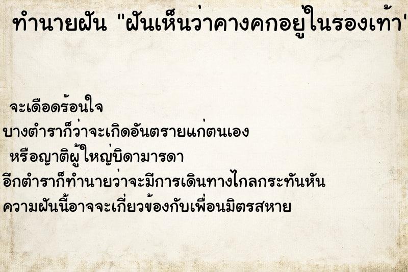 ทำนายฝัน ฝันเห็นว่าคางคกอยู่ในรองเท้า ทำนายฝัน ฝันเห็นว่าคางคกอยู่ในรองเท้า