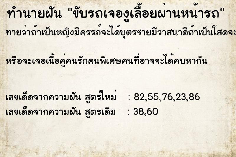 ทำนายฝัน ขับรถเจองูเลื้อยผ่านหน้ารถ ทำนายฝัน ขับรถเจองูเลื้อยผ่านหน้ารถ