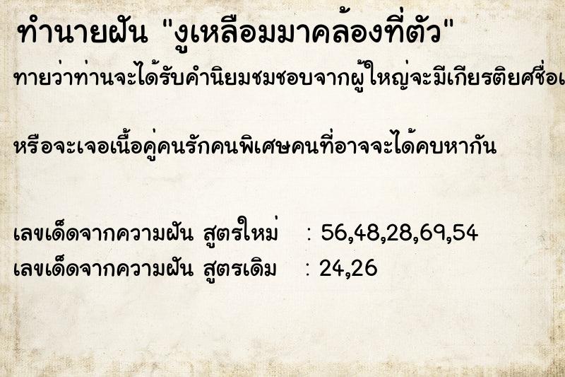 ทำนายฝันงูเหลือมมาคล้องที่ตัว ทำนายฝันทำนายฝันงูเหลือมมาคล้องที่ตัว