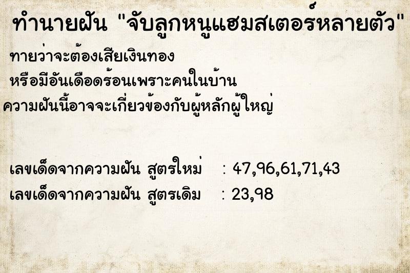 ทำนายฝันทำนายฝันจับลูกหนูแฮมสเตอร์หลายตัว