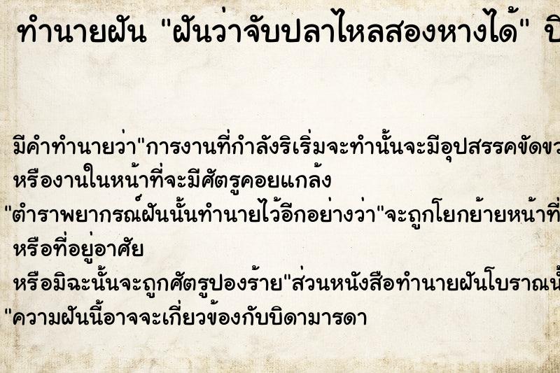 ทำนายฝันทำนายฝันฝันว่าจับปลาไหลสองหางได้
