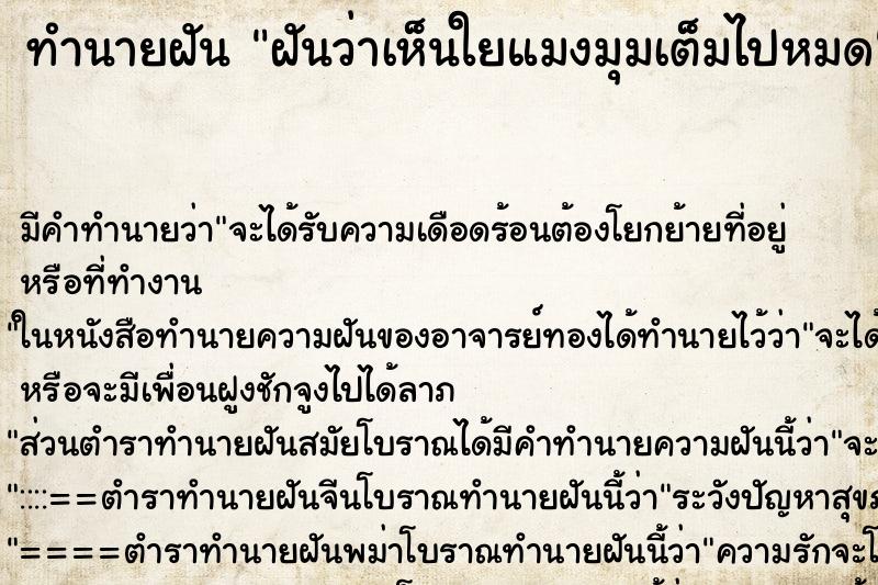 ทำนายฝัน ฝันว่าเห็นใยแมงมุมเต็มไปหมด ทำนายฝัน ฝันว่าเห็นใยแมงมุมเต็มไปหมด