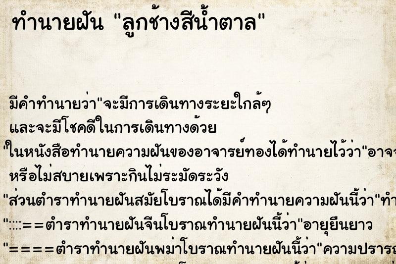 ทำนายฝัน ลูกช้างสีน้ำตาล