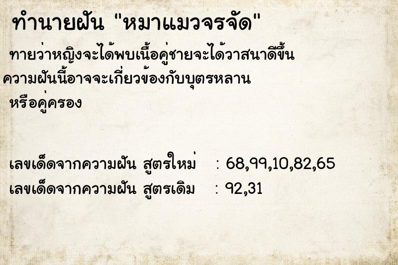 ทำนายฝันหมาแมวจรจัด ทำนายฝันทำนายฝันหมาแมวจรจัด