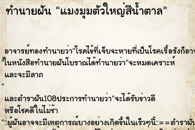 ทำนายฝัน แมงมุมตัวใหญ่สีน้ำตาล ทำนายฝัน แมงมุมตัวใหญ่สีน้ำตาล