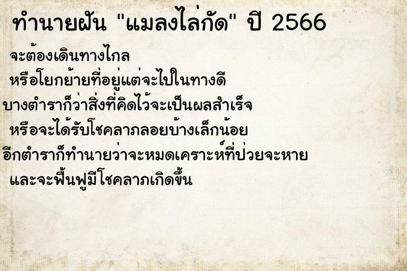 ทำนายฝัน แมลงไล่กัด ทำนายฝัน แมลงไล่กัด