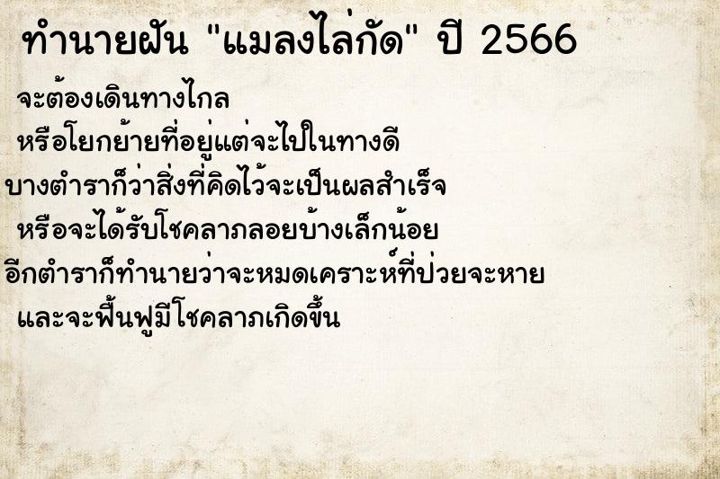 ทำนายฝัน แมลงไล่กัด ตำราโบราณ แม่นที่สุดในโลก