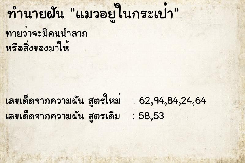 ทำนายฝัน แมวอยู่ในกระเป๋า ตำราโบราณ แม่นที่สุดในโลก