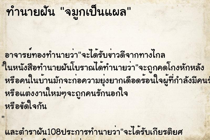 ทำนายฝันทำนายฝันจมูกเป็นแผล