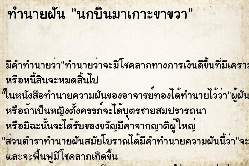 ทำนายฝันทำนายฝันนกบินมาเกาะขาขวา