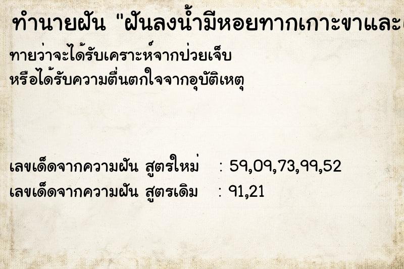 ทำนายฝัน ฝันลงน้ำมีหอยทากเกาะขาและแกะออก ทำนายฝัน ฝันลงน้ำมีหอยทากเกาะขาและแกะออก