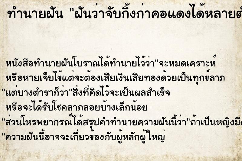 ทำนายฝันฝันว่าจับกิ้งก่าคอแดงได้หลายตัว ทำนายฝันทำนายฝันฝันว่าจับกิ้งก่าคอแดงได้หลายตัว
