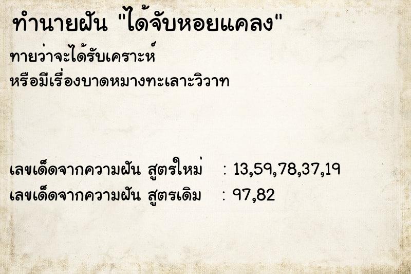 ทำนายฝัน ได้จับหอยแคลง ทำนายฝัน ได้จับหอยแคลง