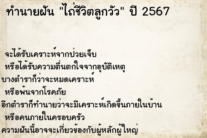 ทำนายฝัน ไถ่ชีวิตลูกวัว ทำนายฝัน ไถ่ชีวิตลูกวัว