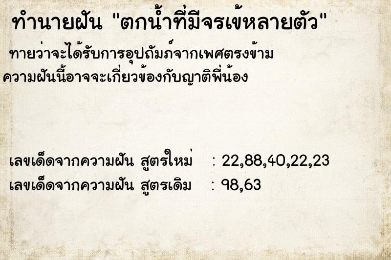 ทำนายฝันตกน้ำที่มีจรเข้หลายตัว ทำนายฝันทำนายฝันตกน้ำที่มีจรเข้หลายตัว