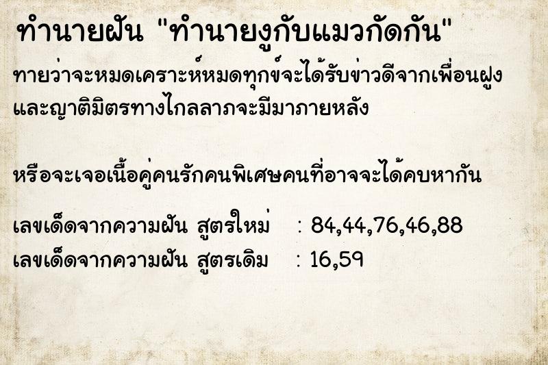 ทำนายฝันทำนายงูกับแมวกัดกัน ทำนายฝันทำนายฝันทำนายงูกับแมวกัดกัน