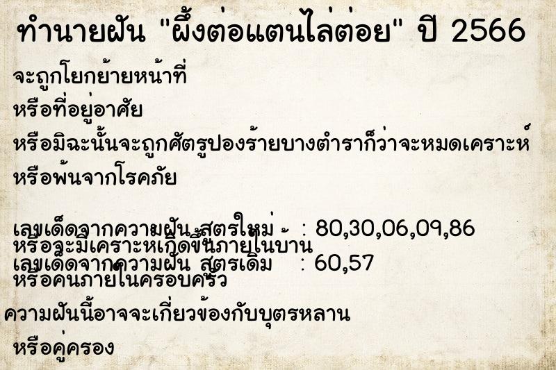 ทำนายฝัน ผึ้งต่อแตนไล่ต่อย