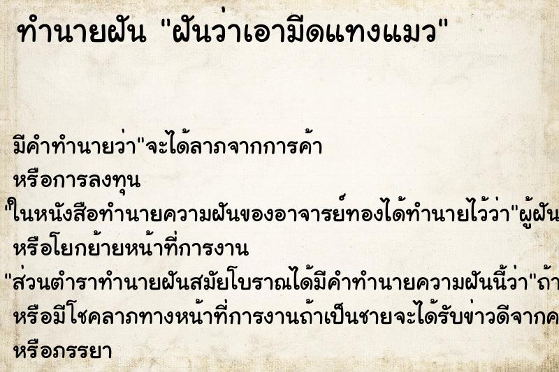 ทำนายฝันฝันว่าเอามีดแทงแมว ทำนายฝันทำนายฝันฝันว่าเอามีดแทงแมว