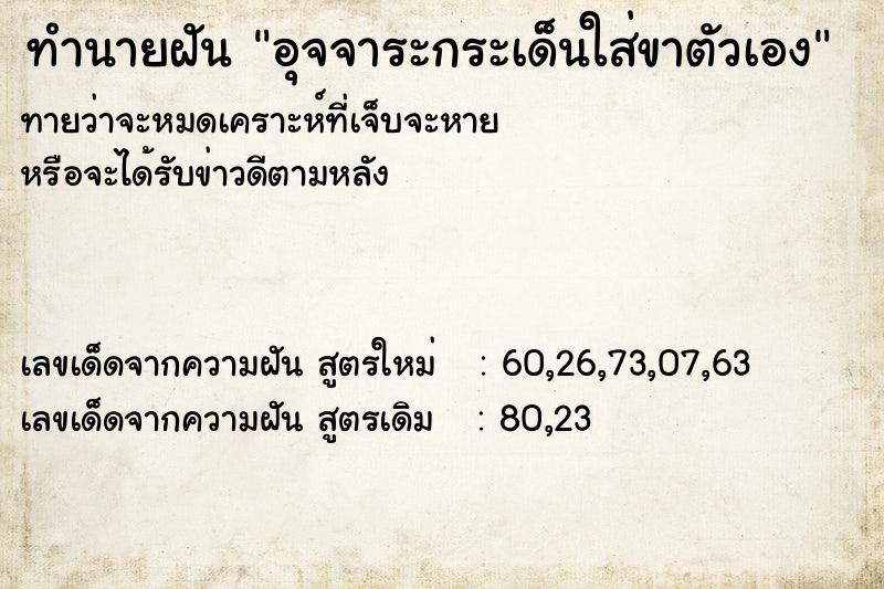 ทำนายฝันอุจจาระกระเด็นใส่ขาตัวเอง ทำนายฝันทำนายฝันอุจจาระกระเด็นใส่ขาตัวเอง