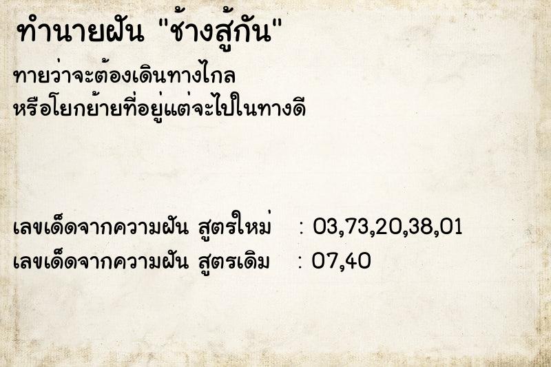 ทำนายฝัน ช้างสู้กัน ทำนายฝัน ช้างสู้กัน
