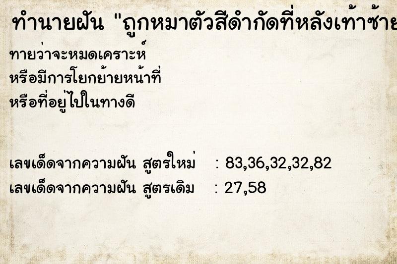 ทำนายฝันทำนายฝันถูกหมาตัวสีดำกัดที่หลังเท้าซ้าย