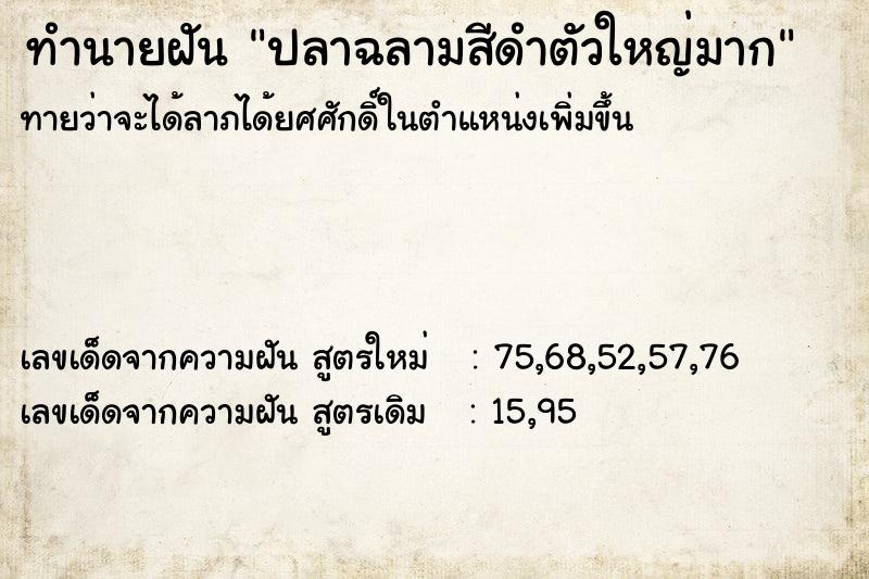 ทำนายฝันปลาฉลามสีดำตัวใหญ่มาก ทำนายฝันทำนายฝันปลาฉลามสีดำตัวใหญ่มาก