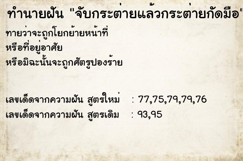 ทำนายฝันจับกระต่ายแล้วกระต่ายกัดมือ ทำนายฝันทำนายฝันจับกระต่ายแล้วกระต่ายกัดมือ