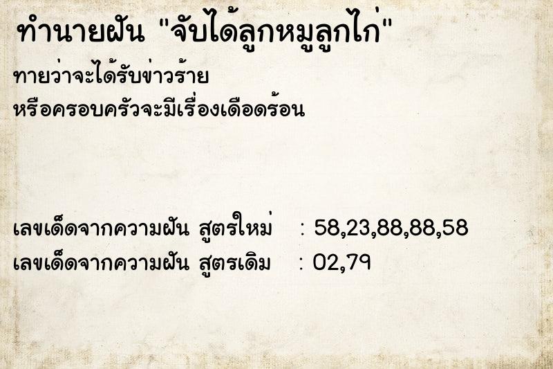 ทำนายฝันทำนายฝันจับได้ลูกหมูลูกไก่