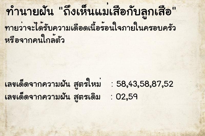 ทำนายฝันทำนายฝันถึงเห็นแม่เสือกับลูกเสือ