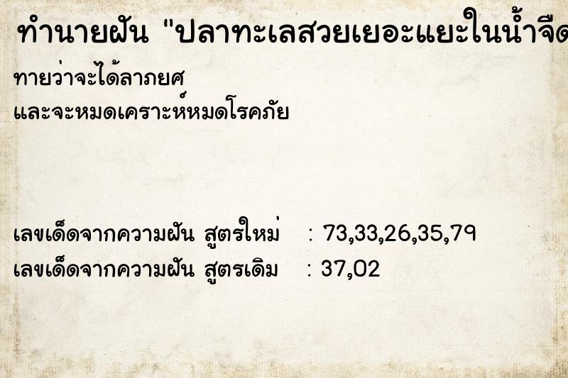 ทำนายฝันปลาทะเลสวยเยอะแยะในน้ำจืด ทำนายฝันทำนายฝันปลาทะเลสวยเยอะแยะในน้ำจืด