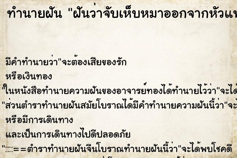 ทำนายฝันทำนายฝันฝันว่าจับเห็บหมาออกจากหัวแฟน