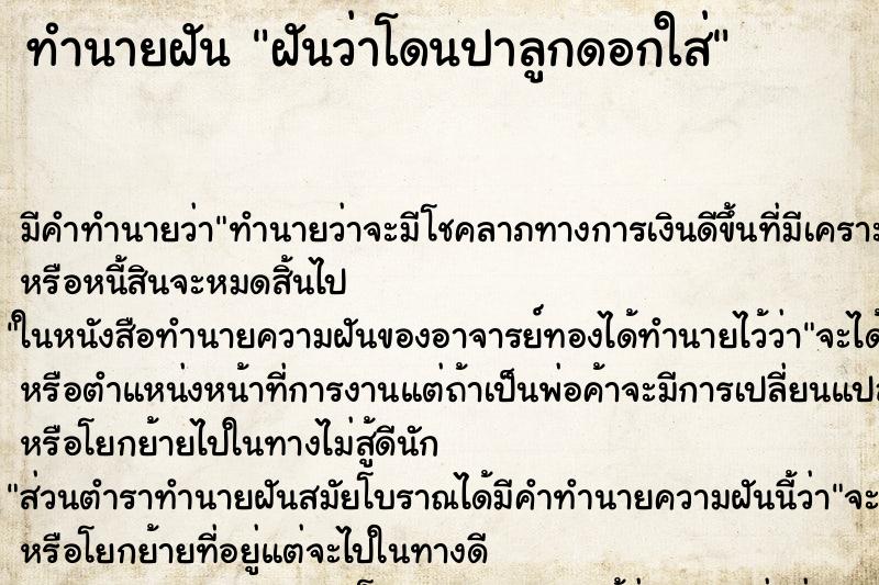 ทำนายฝัน ฝันว่าโดนปาลูกดอกใส่ ทำนายฝัน ฝันว่าโดนปาลูกดอกใส่