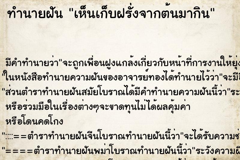 ทำนายฝัน เห็นเก็บฝรั่งจากต้นมากิน ทำนายฝัน เห็นเก็บฝรั่งจากต้นมากิน
