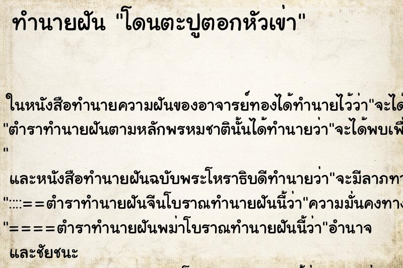 ทำนายฝันโดนตะปูตอกหัวเข่า ทำนายฝันทำนายฝันโดนตะปูตอกหัวเข่า
