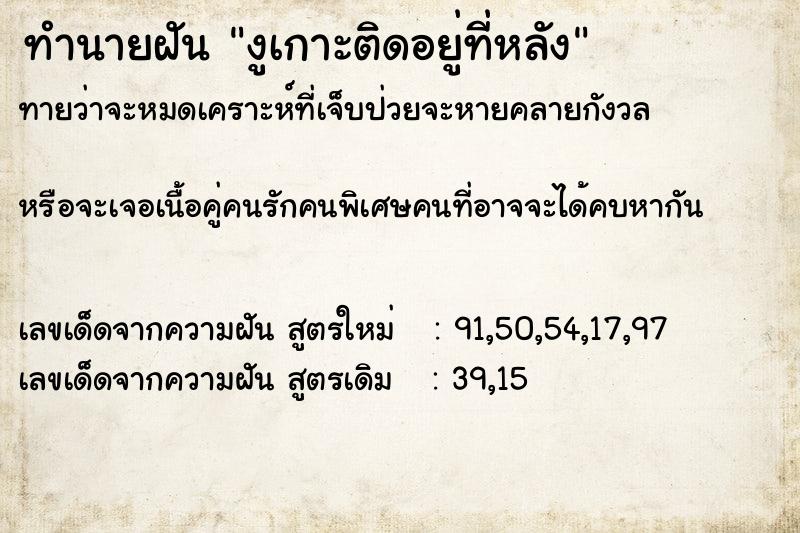 ทำนายฝันทำนายฝันงูเกาะติดอยู่ที่หลัง