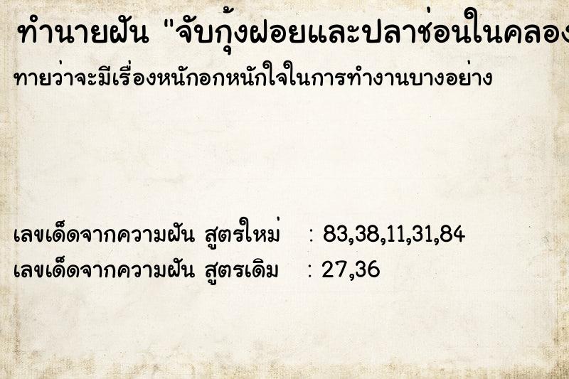 ทำนายฝันจับกุ้งฝอยและปลาช่อนในคลอง ทำนายฝันทำนายฝันจับกุ้งฝอยและปลาช่อนในคลอง