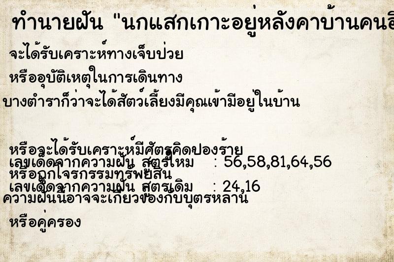 ทำนายฝัน นกแสกเกาะอยู่หลังคาบ้านคนอื่น ทำนายฝัน นกแสกเกาะอยู่หลังคาบ้านคนอื่น