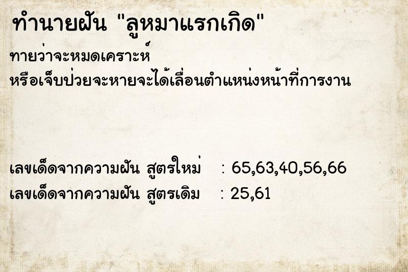 ทำนายฝันลูหมาแรกเกิด ทำนายฝันทำนายฝันลูหมาแรกเกิด