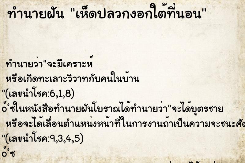 ทำนายฝันทำนายฝันเห็ดปลวกงอกใต้ที่นอน
