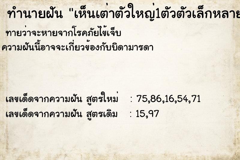 ทำนายฝันเห็นเต่าตัวใหญ่1ตัวตัวเล็กหลายตัวกลาง1ตัว ทำนายฝันทำนายฝันเห็นเต่าตัวใหญ่1ตัวตัวเล็กหลายตัวกลาง1ตัว