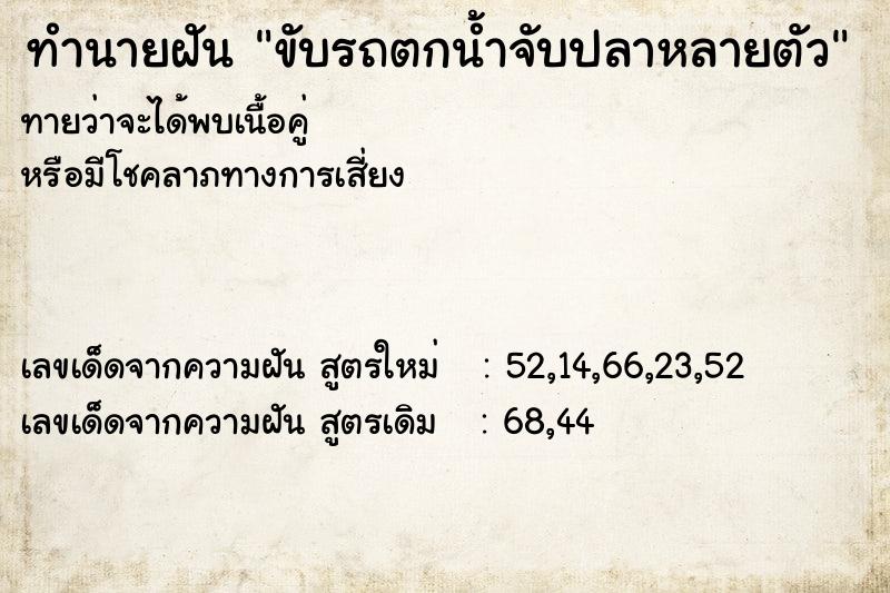 ทำนายฝันขับรถตกน้ำจับปลาหลายตัว ทำนายฝันทำนายฝันขับรถตกน้ำจับปลาหลายตัว