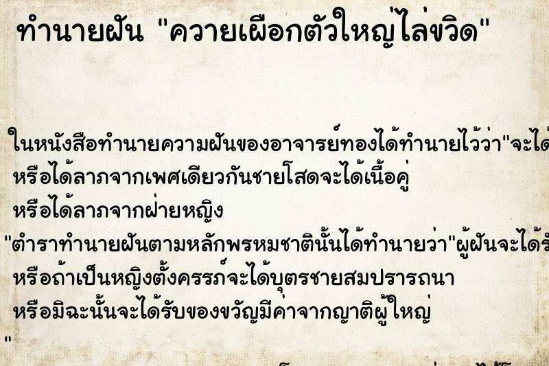 ทำนายฝันควายเผือกตัวใหญ่ไล่ขวิด ทำนายฝันทำนายฝันควายเผือกตัวใหญ่ไล่ขวิด