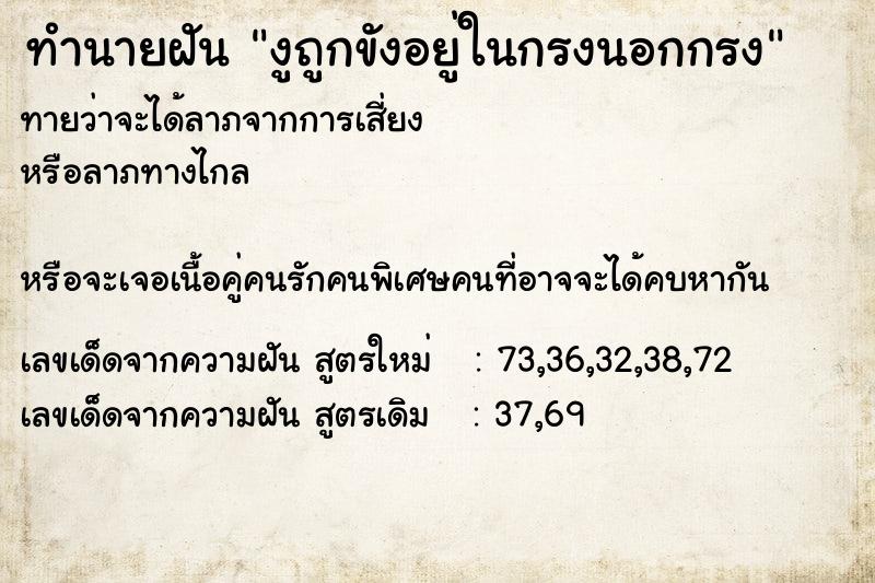 ทำนายฝันงูถูกขังอยู่ในกรงนอกกรง ทำนายฝันทำนายฝันงูถูกขังอยู่ในกรงนอกกรง