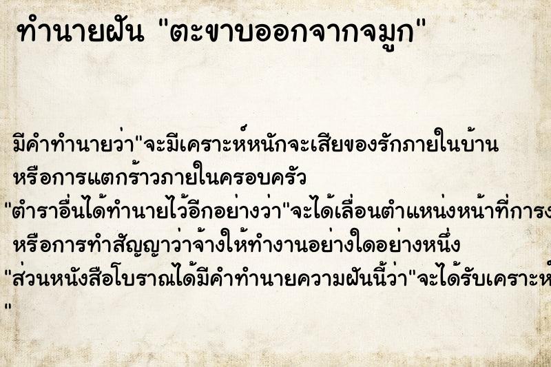 ทำนายฝัน ตะขาบออกจากจมูก ทำนายฝัน ตะขาบออกจากจมูก
