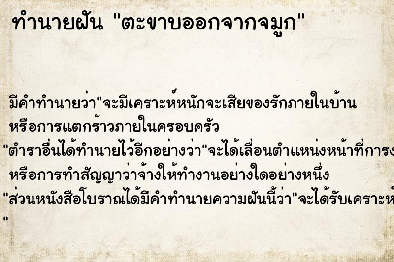 ทำนายฝัน ตะขาบออกจากจมูก ตำราโบราณ แม่นที่สุดในโลก