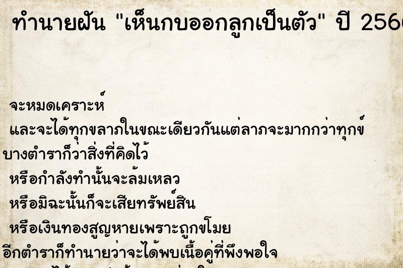 ทำนายฝัน เห็นกบออกลูกเป็นตัว ทำนายฝัน เห็นกบออกลูกเป็นตัว
